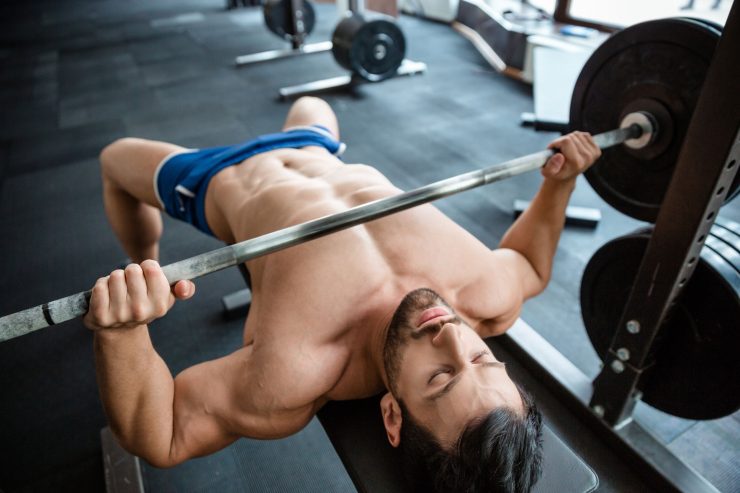 Fitness schema borstspieren