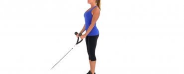 Cable Biceps Curl