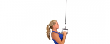 Cable Close Grip Pulldown